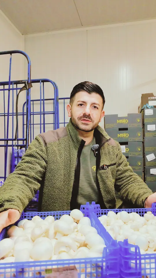 Finke Frisch, fruit and vegetable wholesale